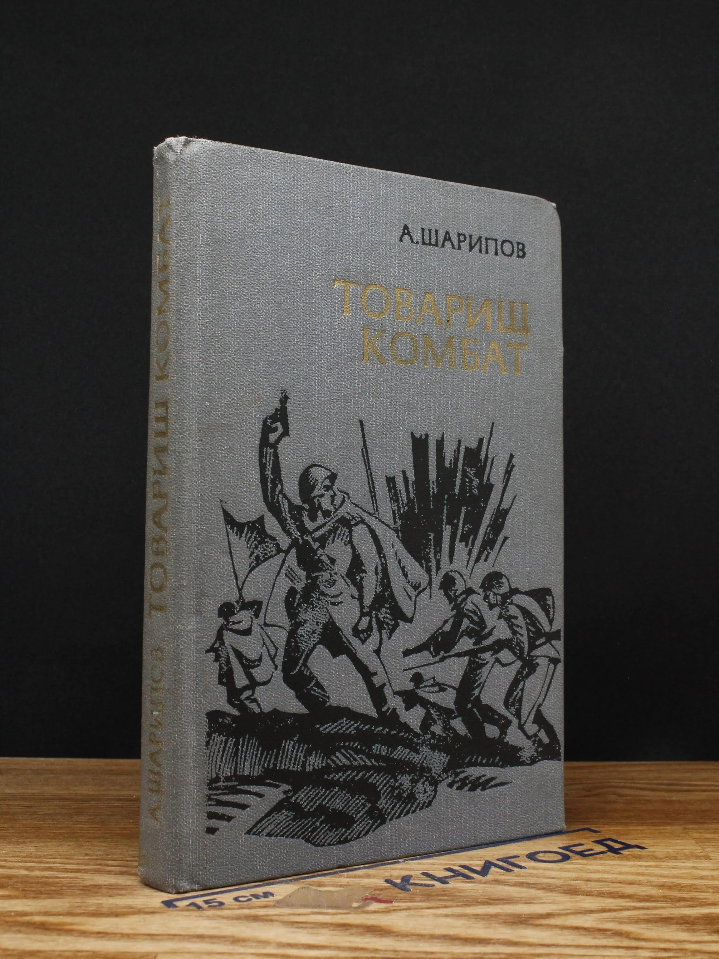 Товарищ комбат