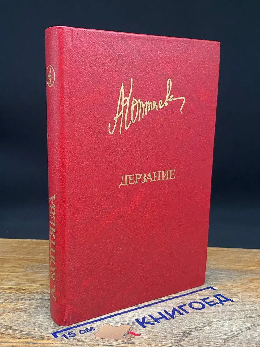 Дерзание