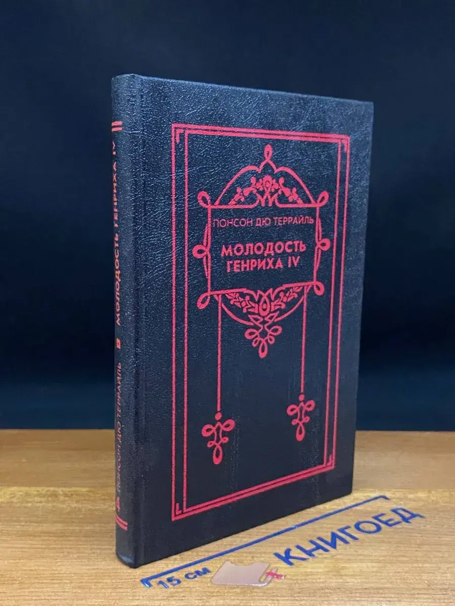 Молодость Генриха IV. Том 4