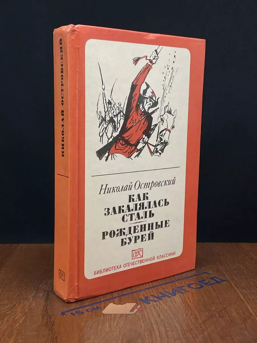 Как закалялась сталь. Рожденные бурей