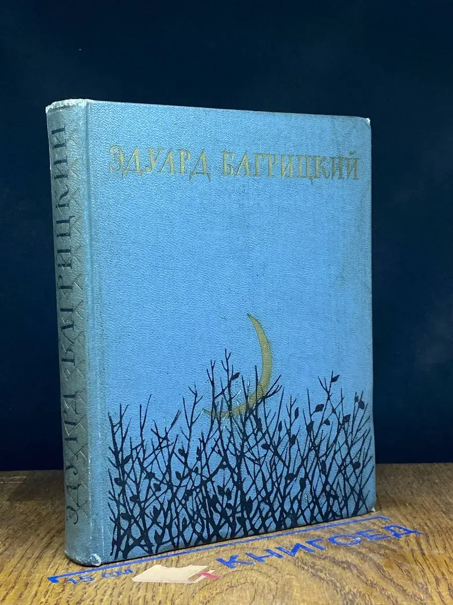 Эдуард Багрицкий. Стихи и поэмы