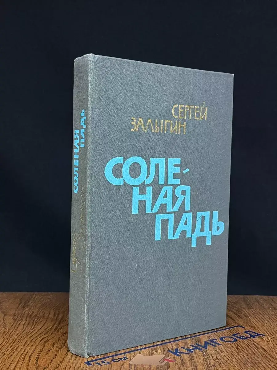 Соленая падь