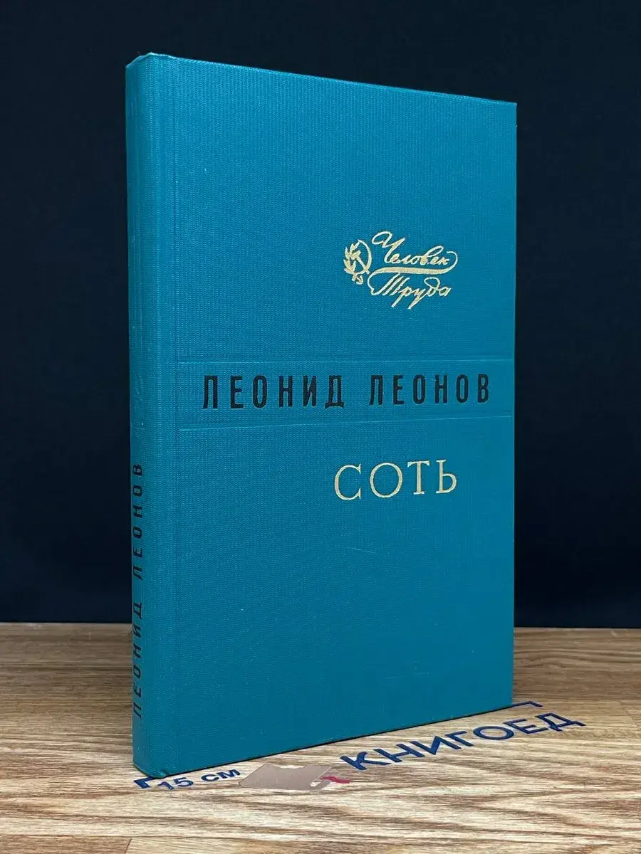 Соть