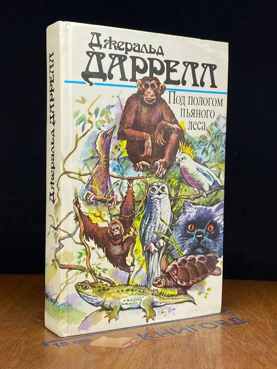 Под пологом пьяного леса