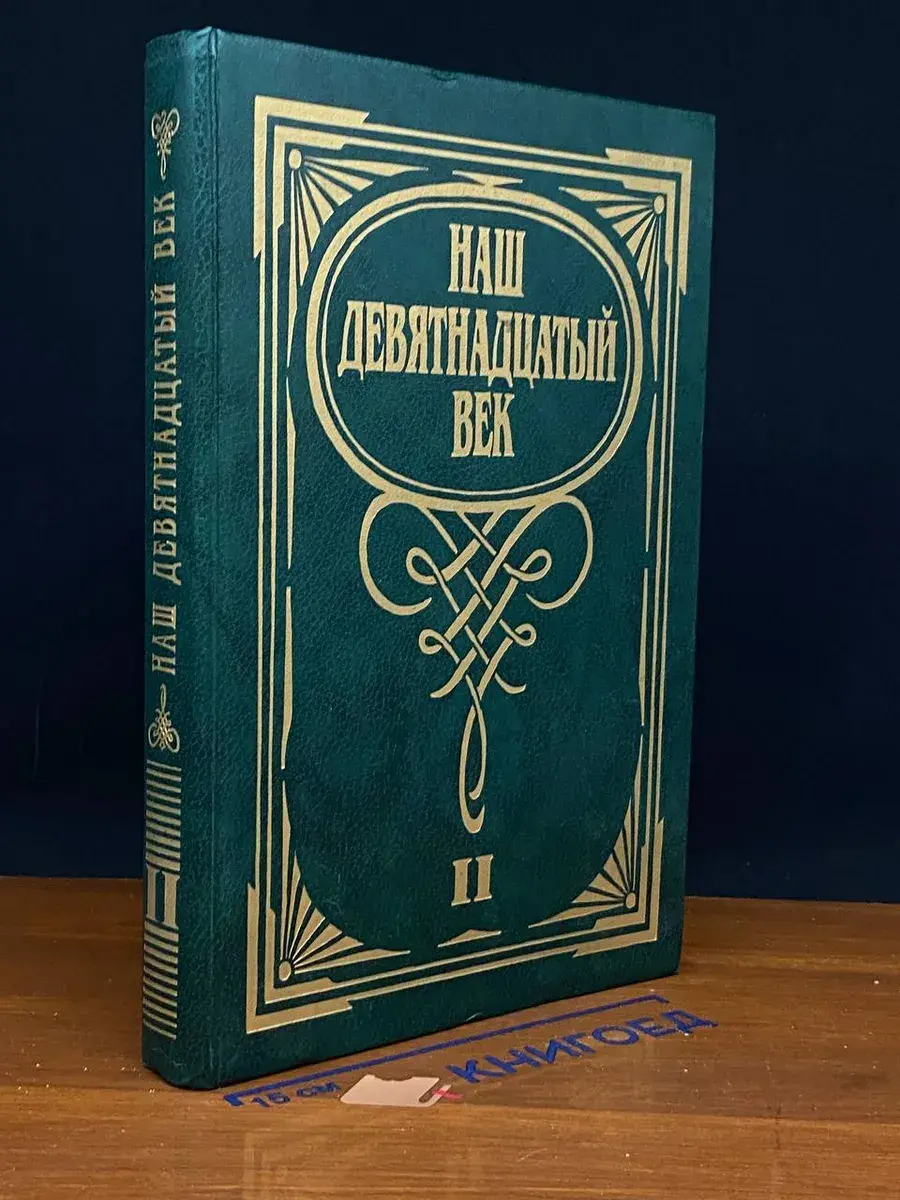 Наш девятнадцатый век. Том 2