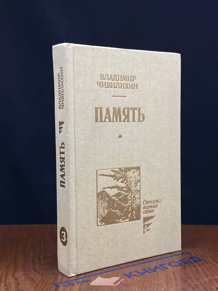 Память. Том 3. Книга 2