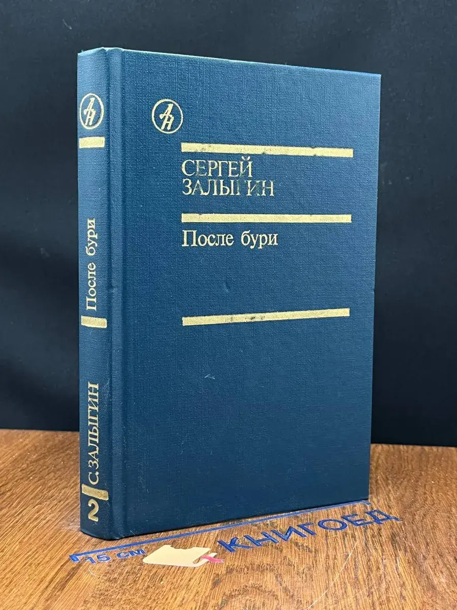 После бури. Книга 2