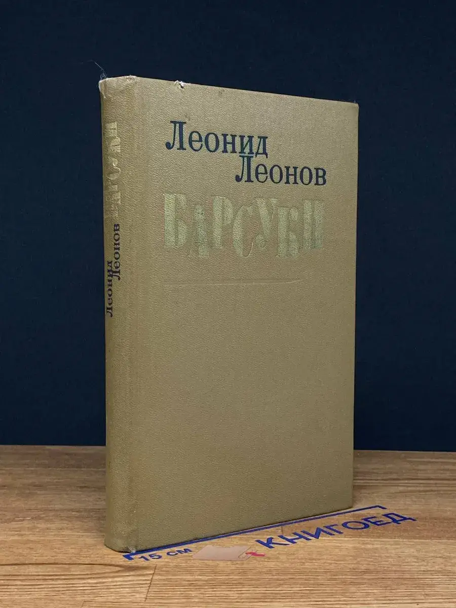 Барсуки