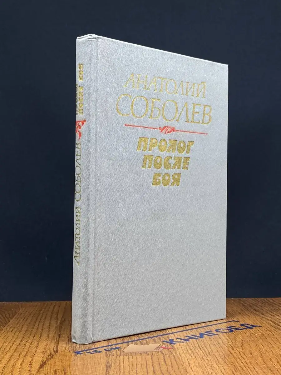 Пролог после бо*я