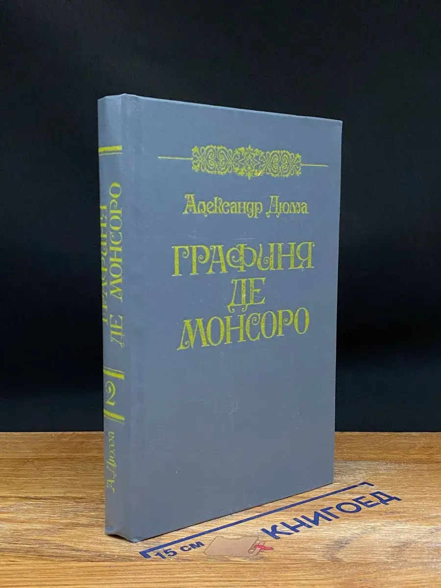 Графиня де Монсоро. Том 2