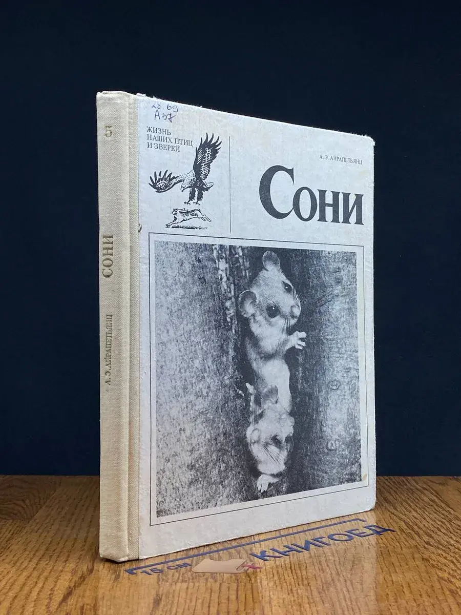 Сони