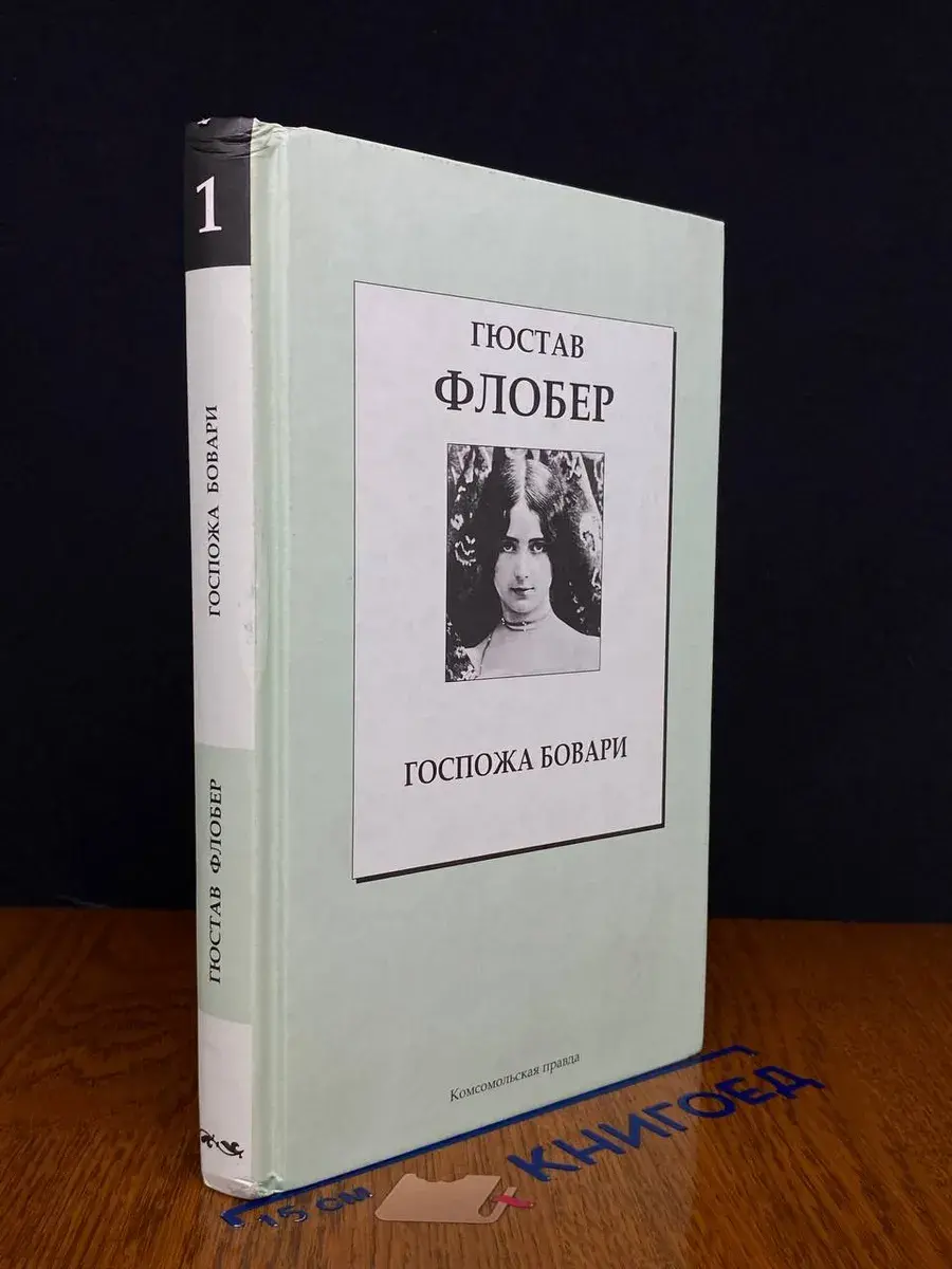 Госпожа Бовари. Том 1