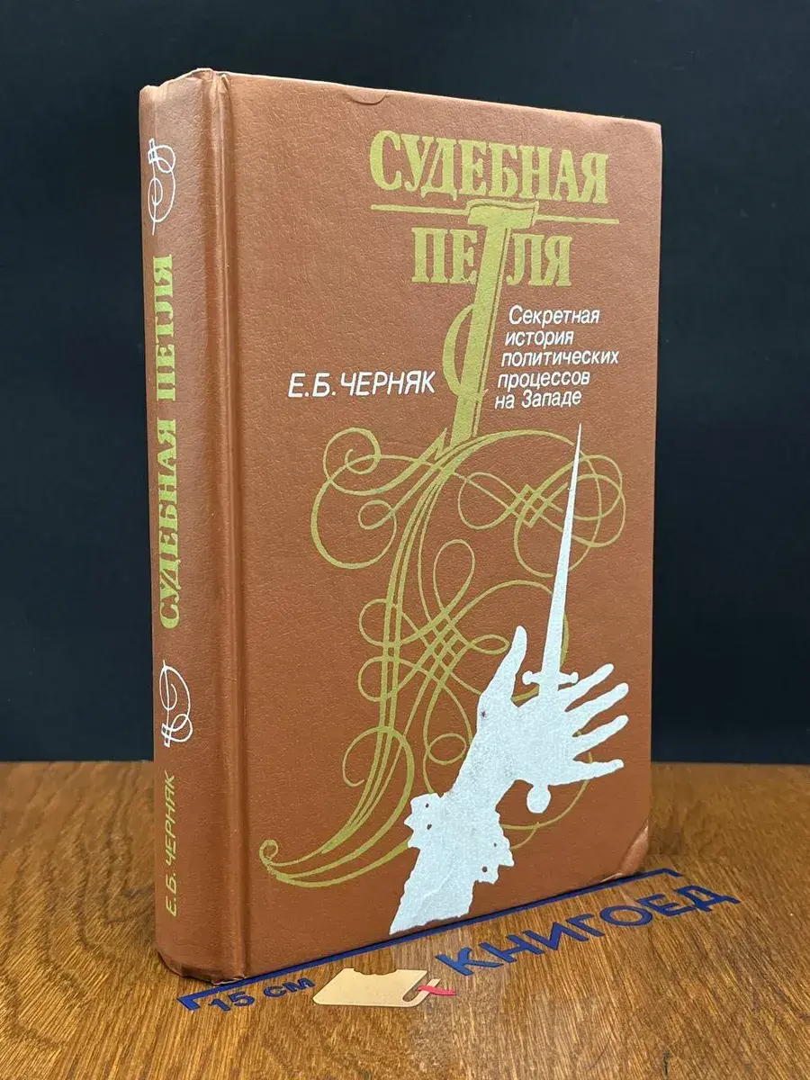 Судебная петля