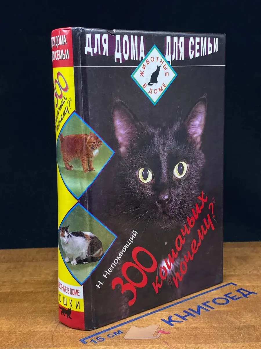 300 кошачьих почему