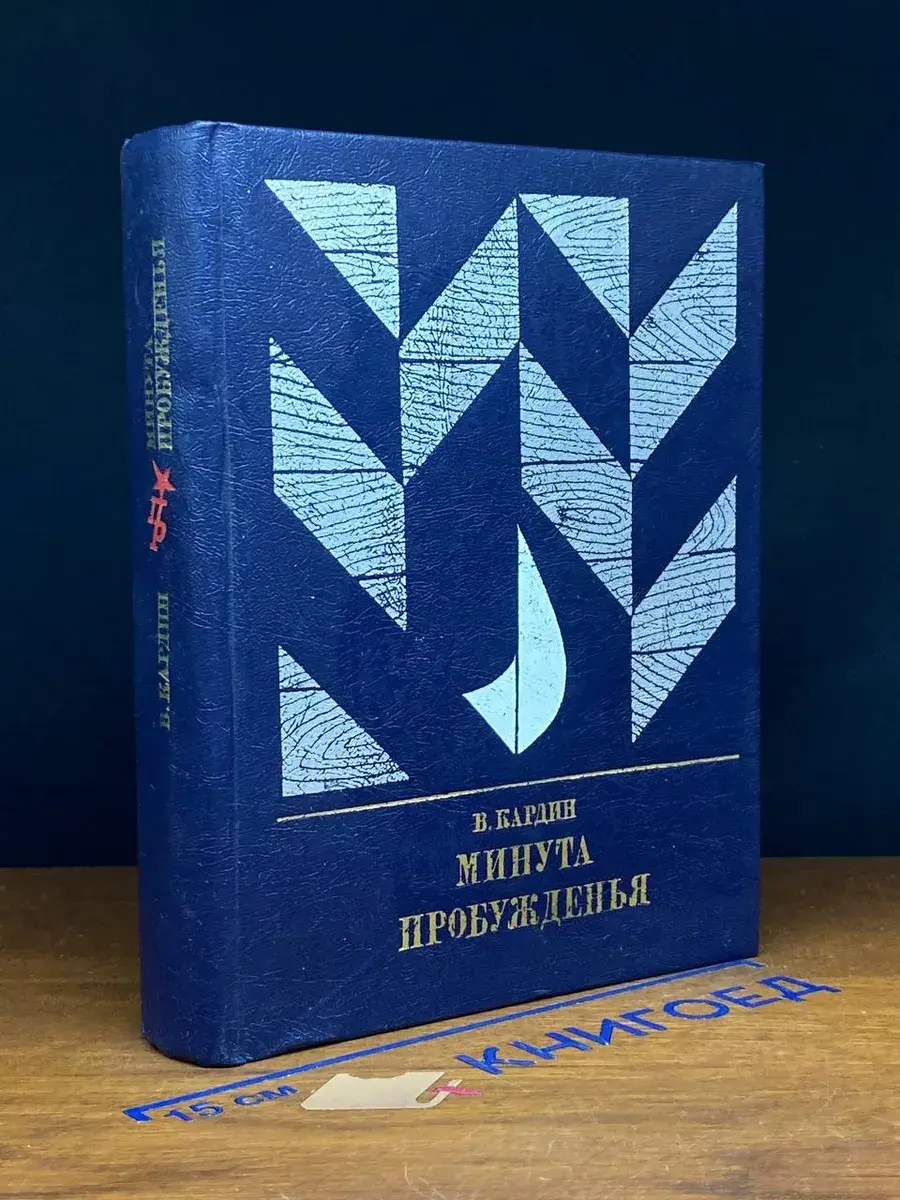 Минута пробужденья
