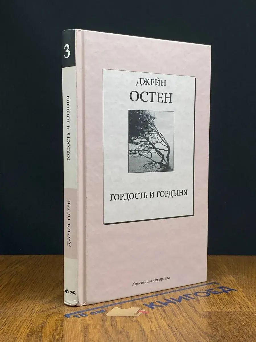 Гордость и гордыня. Том 3