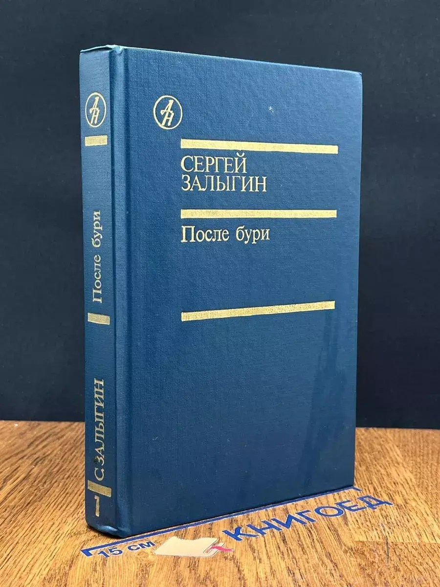 После бури. Книга 1