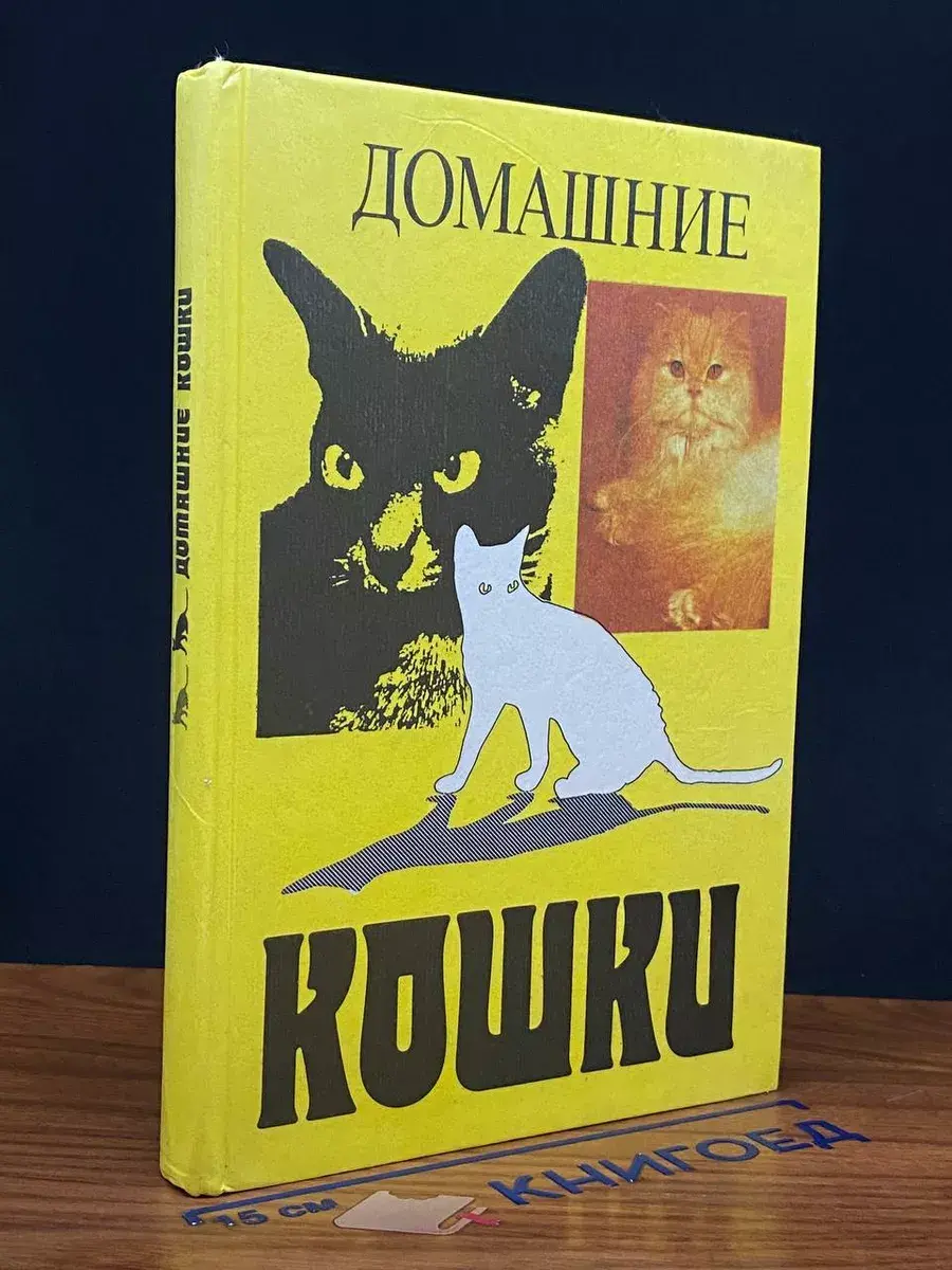 Домашние кошки
