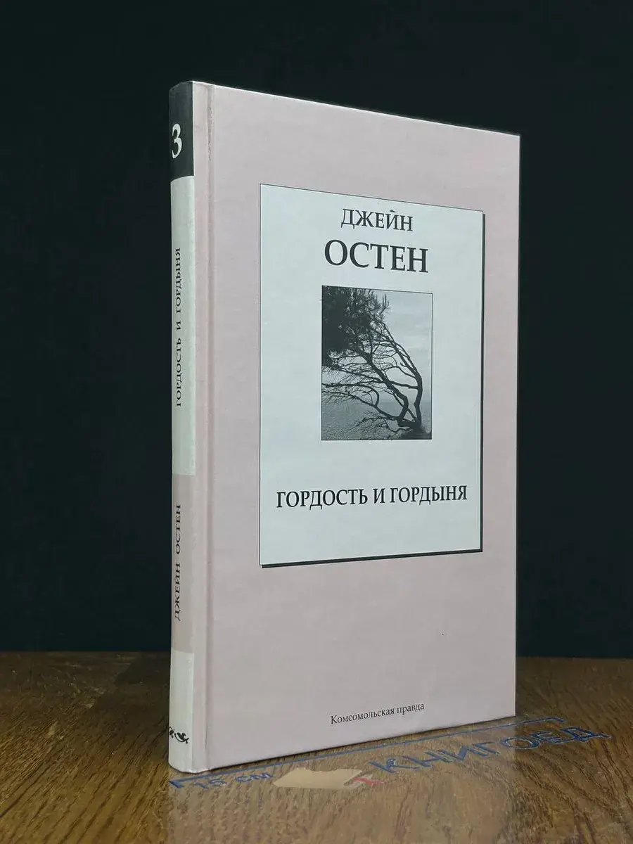 Гордость и гордыня