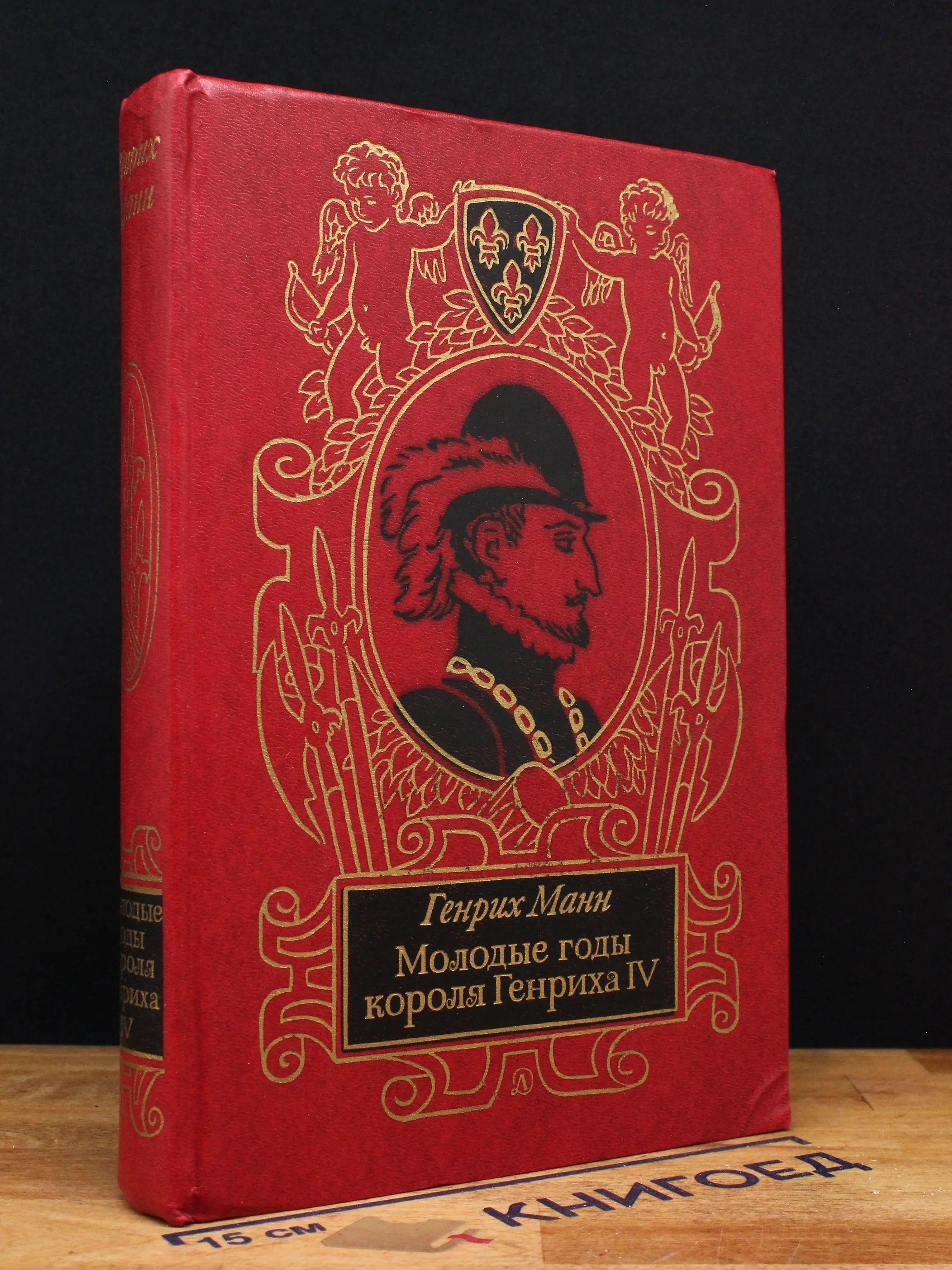 Молодые годы короля Генриха IV