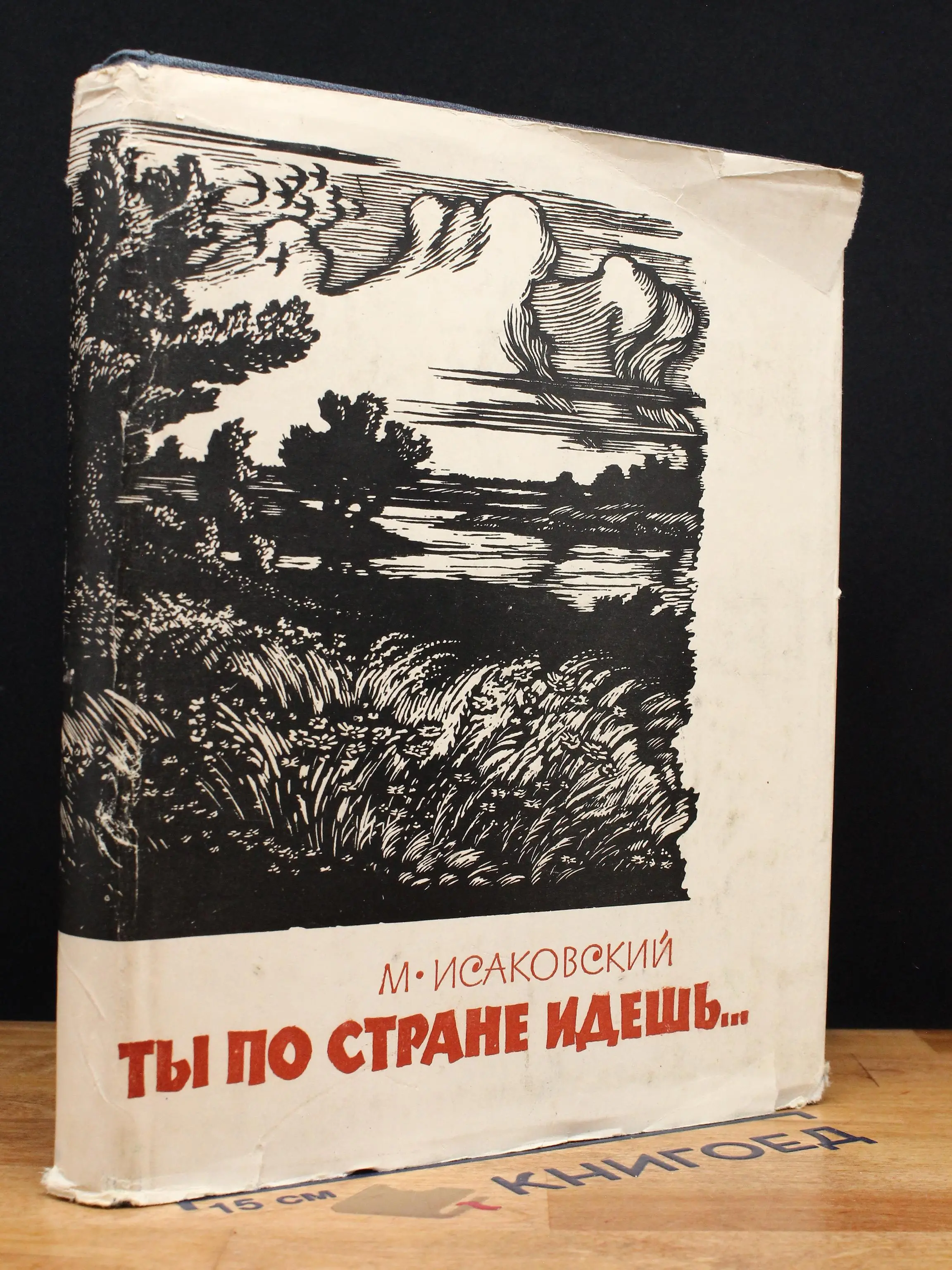 Ты по стране идешь..